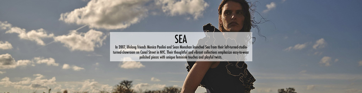 sea-banner.jpg